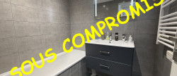 vente Appartement Albertville