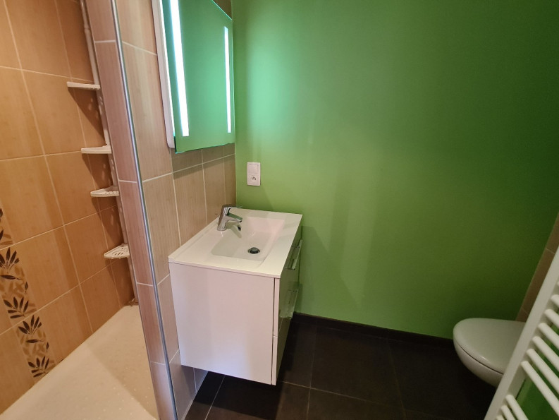 vente Maison Saint Vital - Photo 10