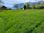 à vendre Terrain constructible Bonvillard