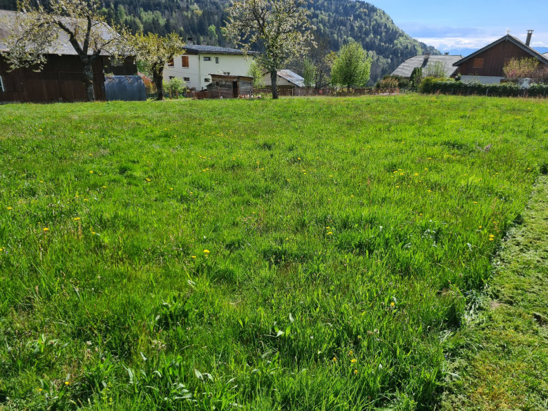 vente Terrain constructible Bonvillard - Photo 5