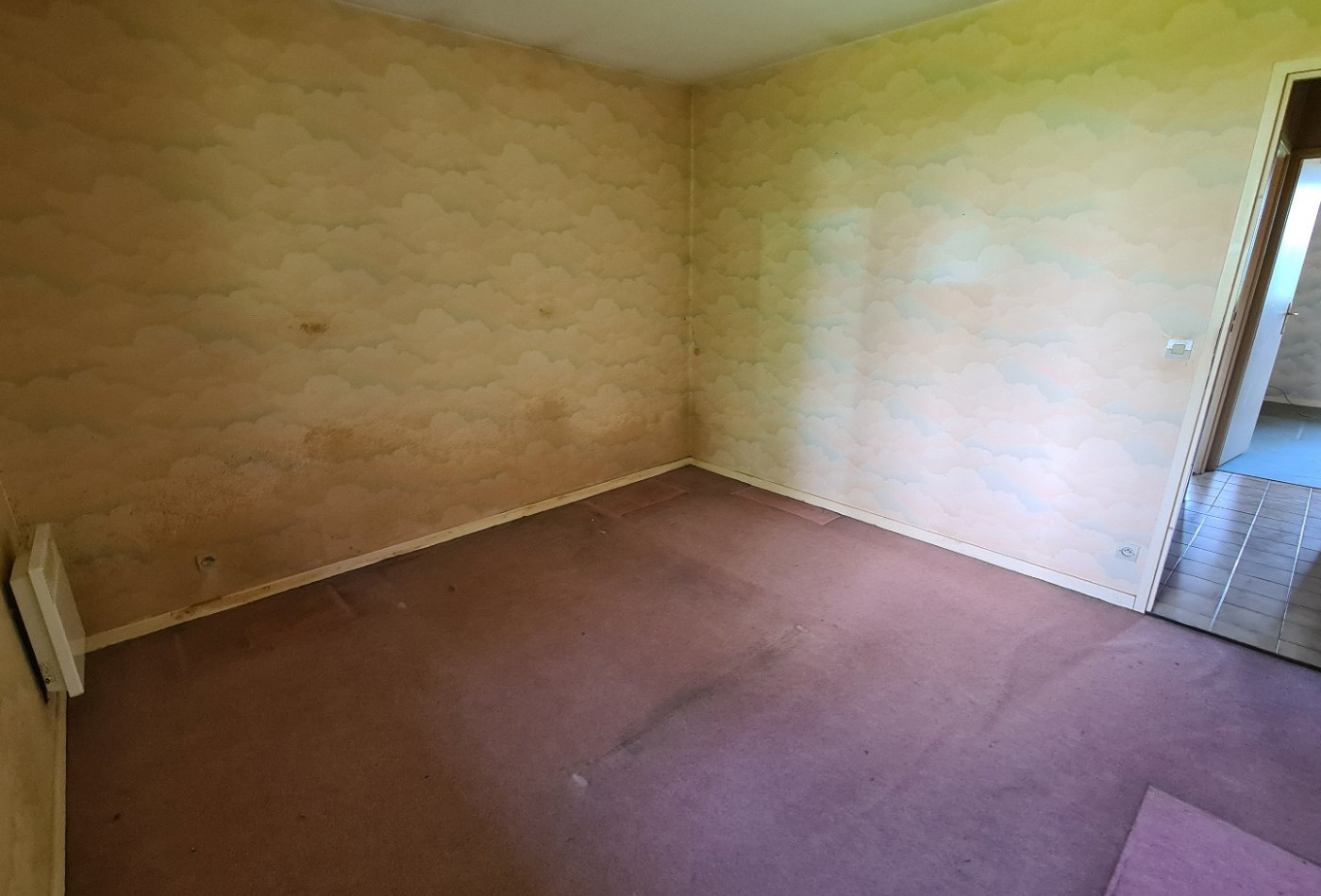 vente Maison Saint Vital - Photo 10