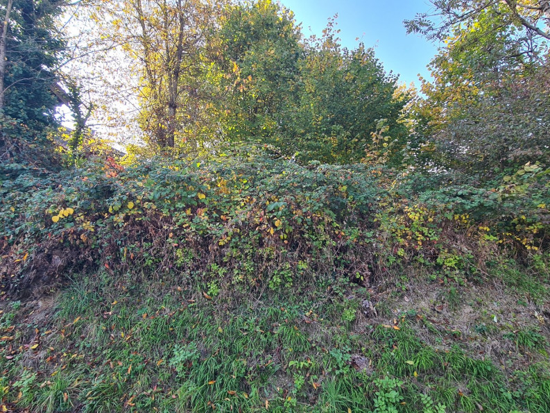 à vendre Terrain constructible Bonvillard - Photo 6