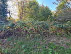 à vendre Terrain constructible Bonvillard
