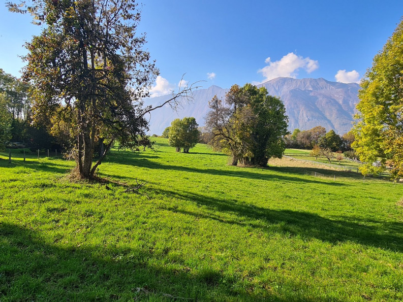 à vendre Terrain constructible Bonvillard - Photo 5