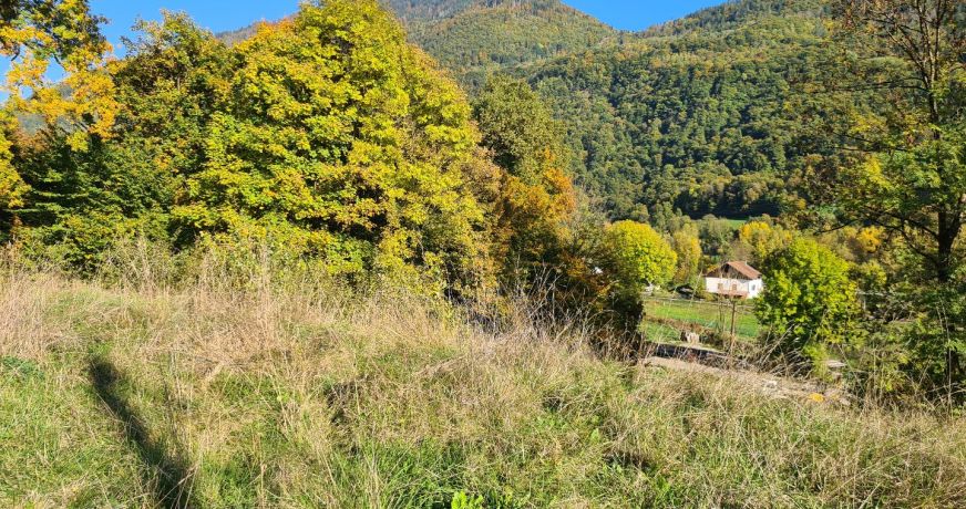 vente Terrain Marthod