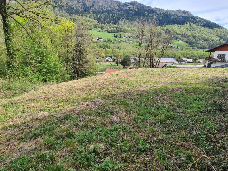 à vendre Terrain Marthod - Photo 3
