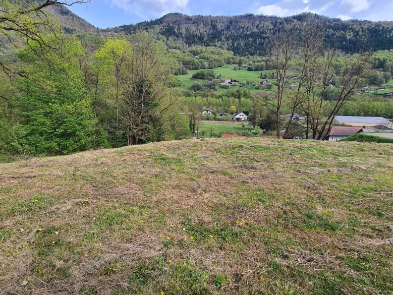 à vendre Terrain Marthod - Photo 8