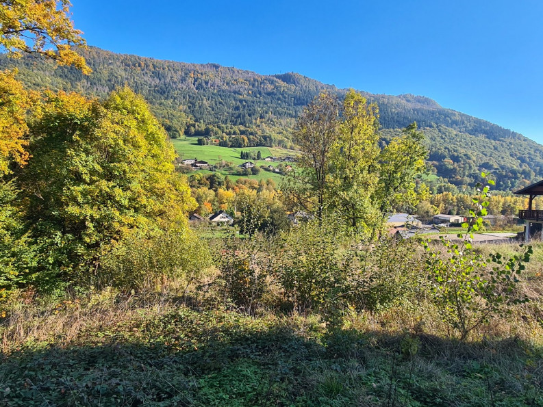 vente Terrain Marthod - Photo 1