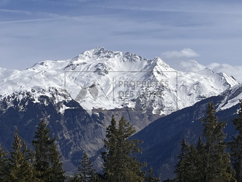 for sale Chalet Courchevel - Photo 1