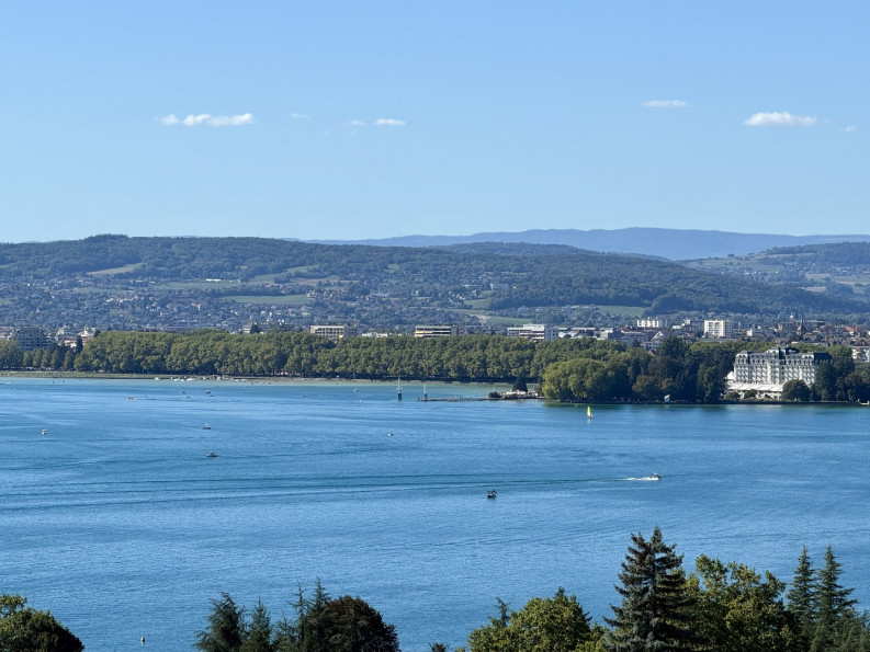 à vendre Maison Veyrier Du Lac - Photo 1