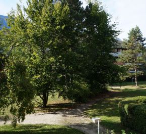 A louer La Motte Servolex | Réf 730262415 - Av savoie