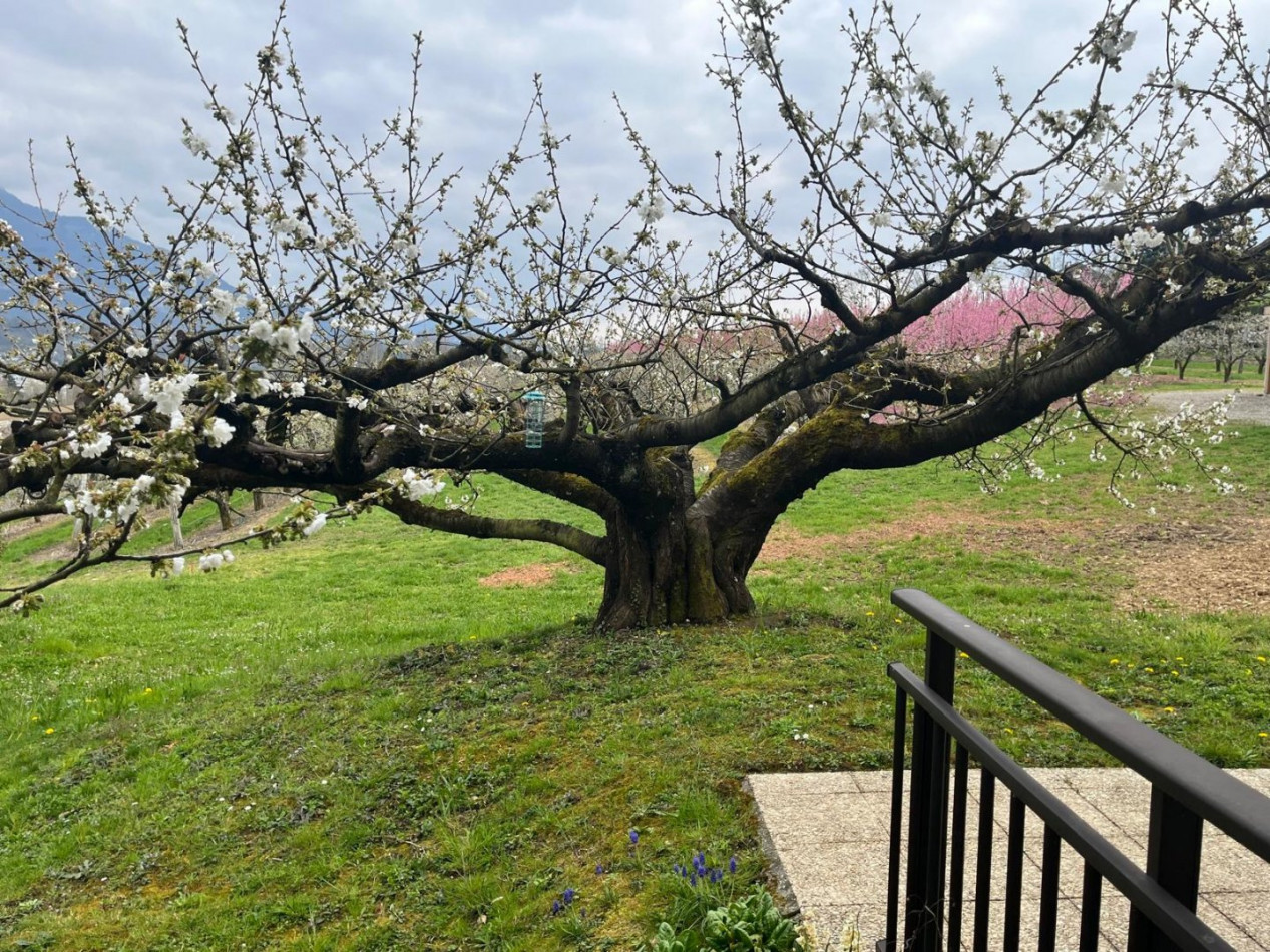 à vendre Maison La Motte Servolex - Photo 4