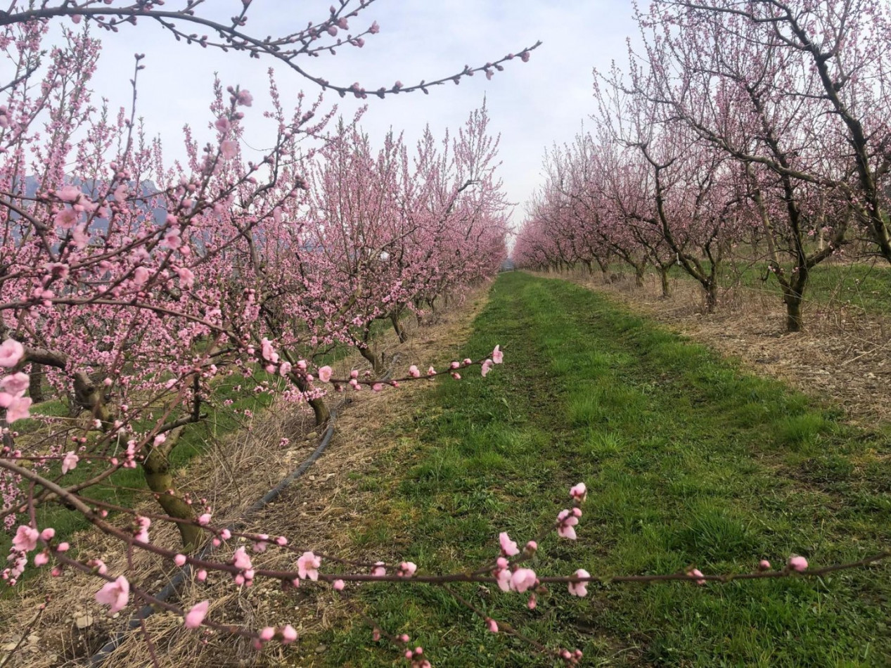 à vendre Maison La Motte Servolex - Photo 7