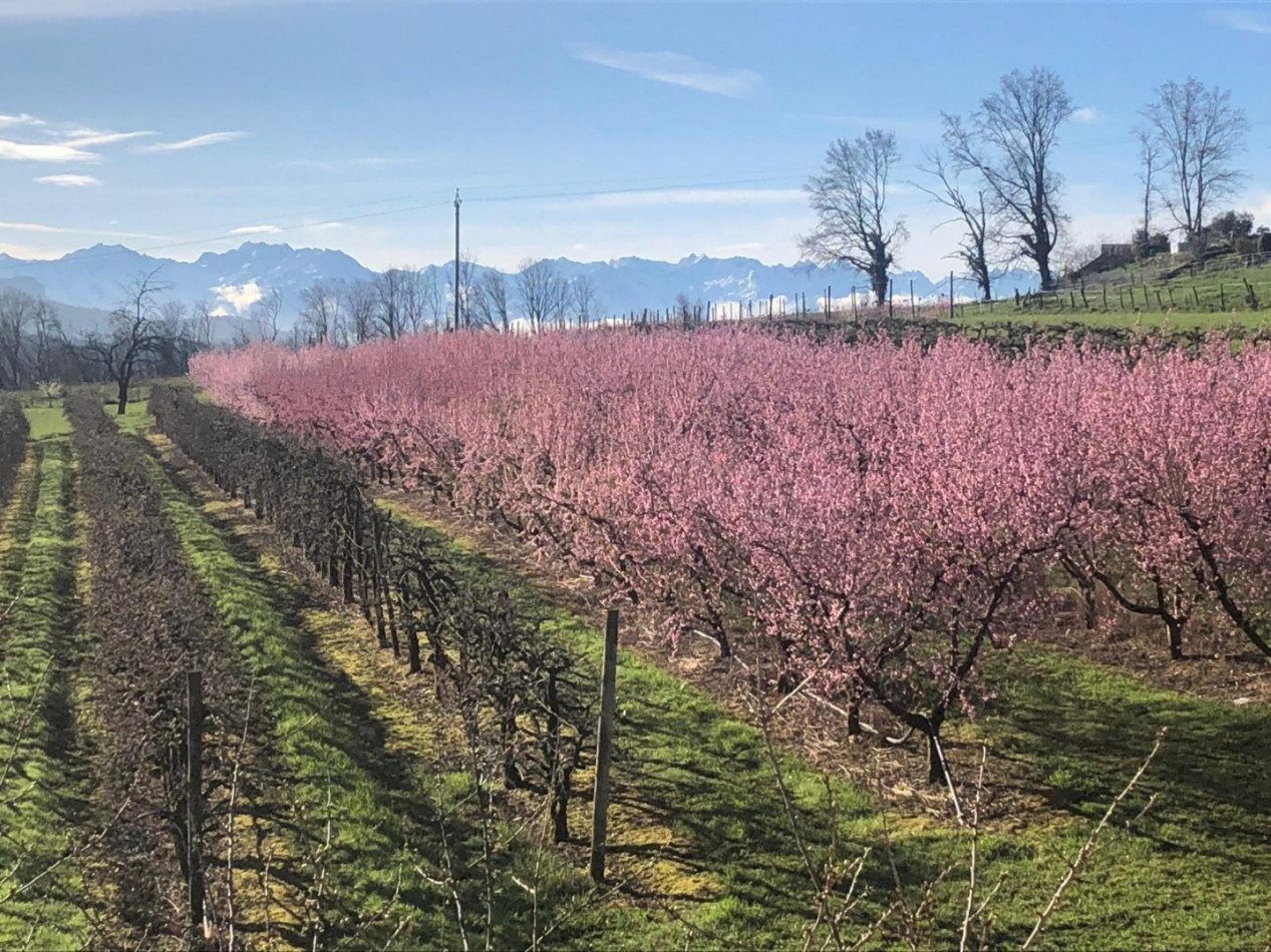 à vendre Maison La Motte Servolex - Photo 5