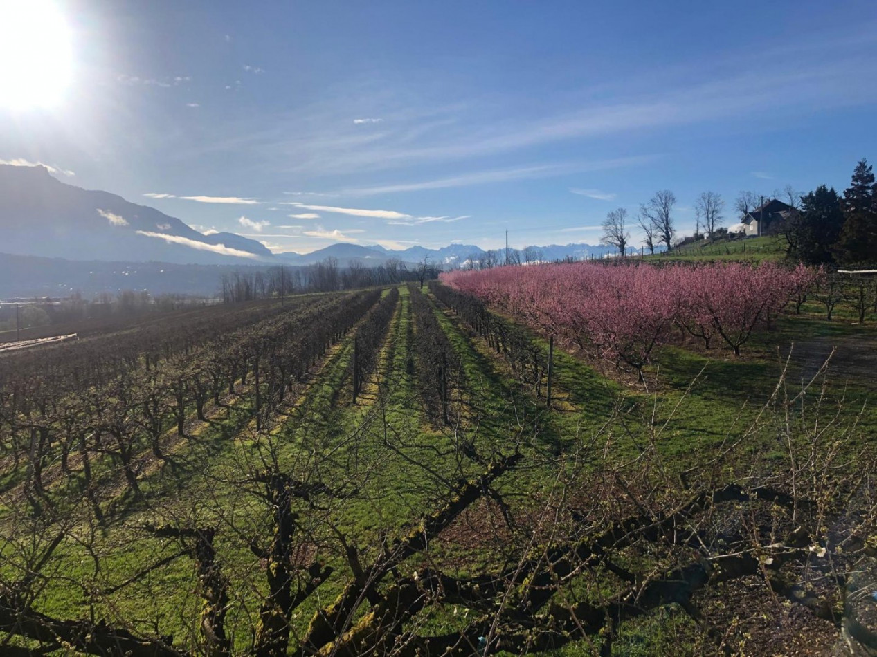 à vendre Maison La Motte Servolex - Photo 6