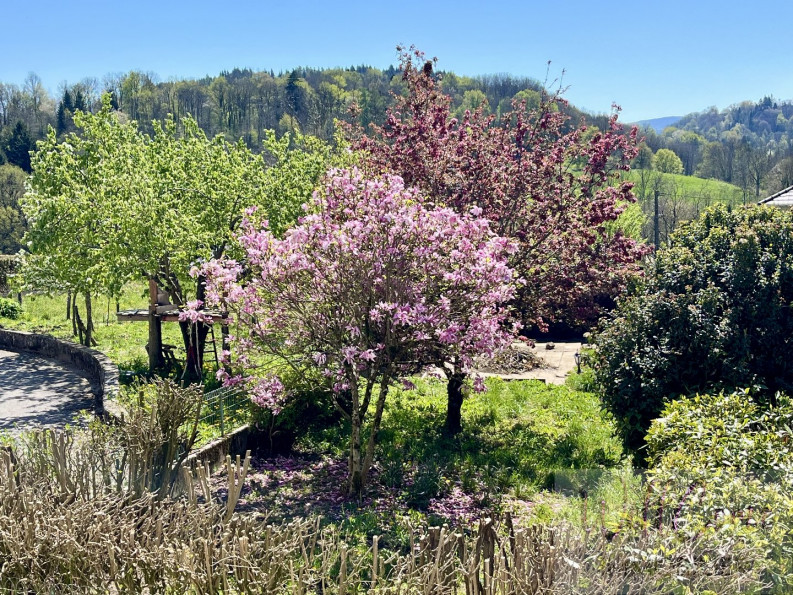 à vendre Immeuble Moye - Photo 2