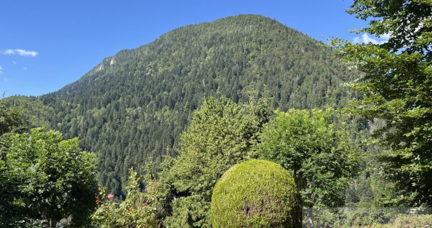 vente Chalet Aillon Le Jeune