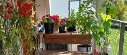 vente Appartement Gresy Sur Aix