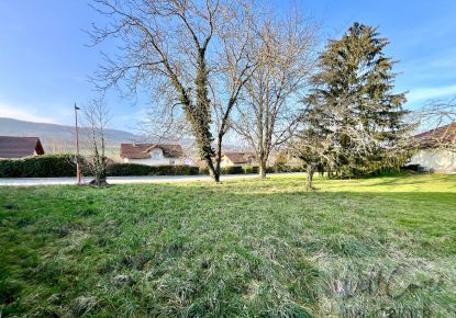 vente Terrain constructible Albens