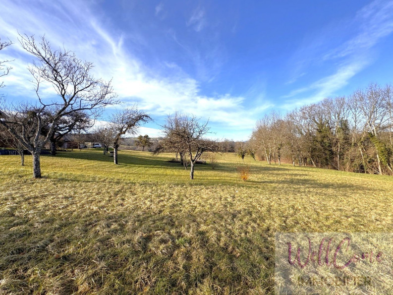 vente Terrain Gruffy - Photo 1