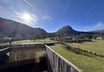 vente Appartement Duingt