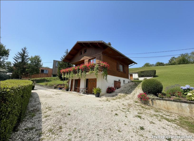vente Chalet Mesigny - Photo 1