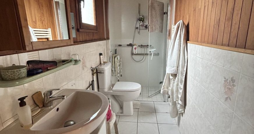 vente Chalet Mesigny