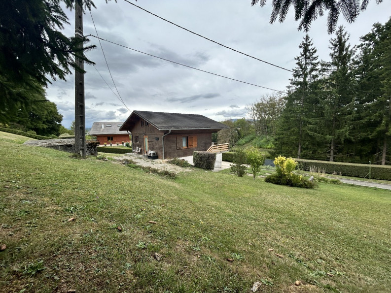 vente Chalet Mesigny - Photo 7