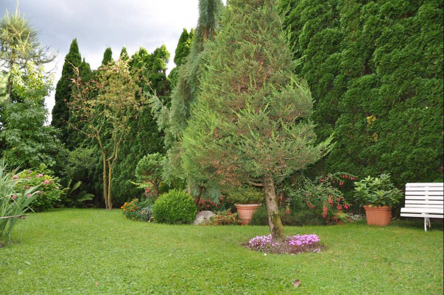 à vendre Maison Saint Jorioz - Photo 2