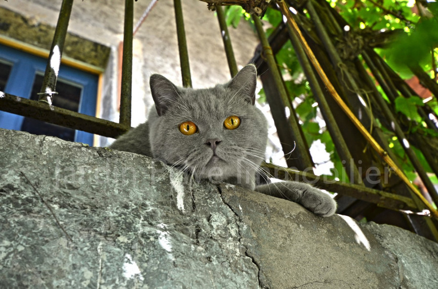 à vendre Maison de hameau Menthon Saint Bernard - Photo 3