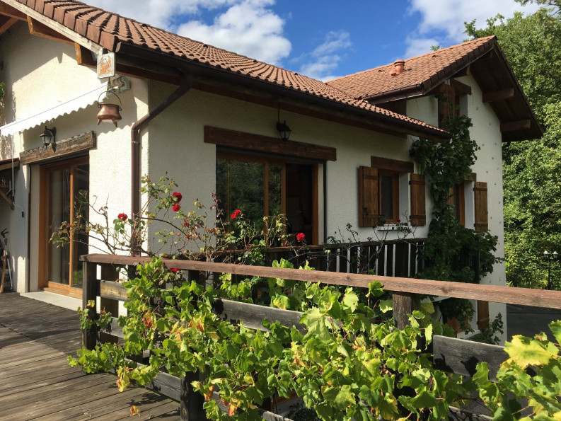 à vendre Maison Saint Jorioz - Photo 1