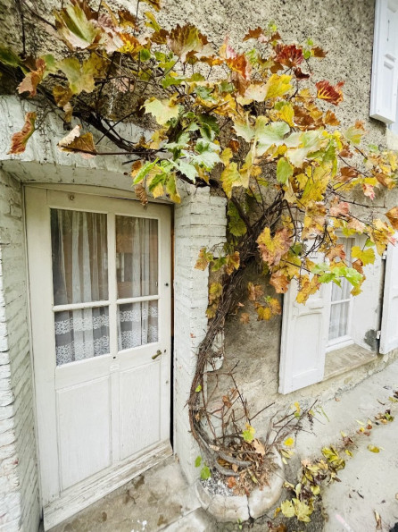 à vendre Maison à rénover Menthon Saint Bernard - Photo 1