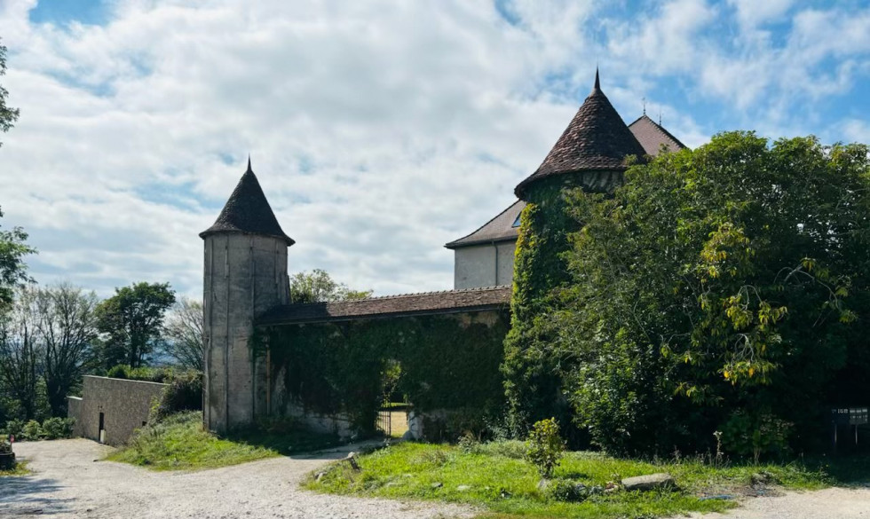 vente Triplex Argonay - Photo 9