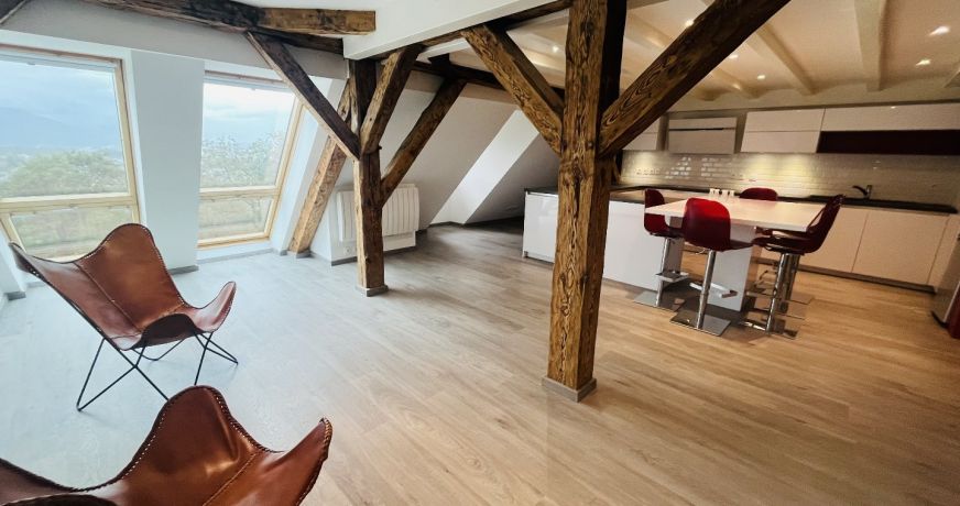 vente Triplex Argonay