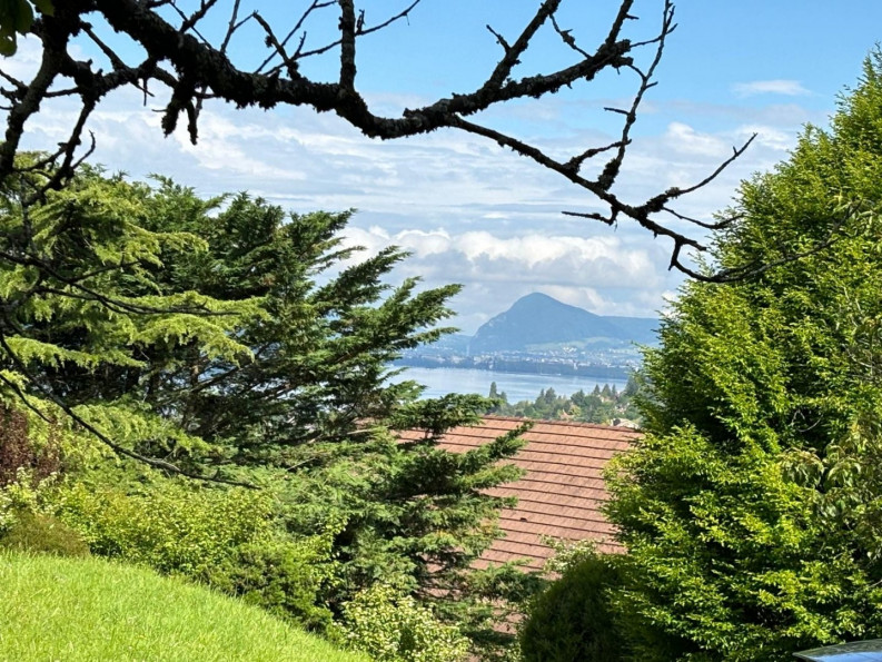 for sale Terrain Menthon Saint Bernard - Photo 6