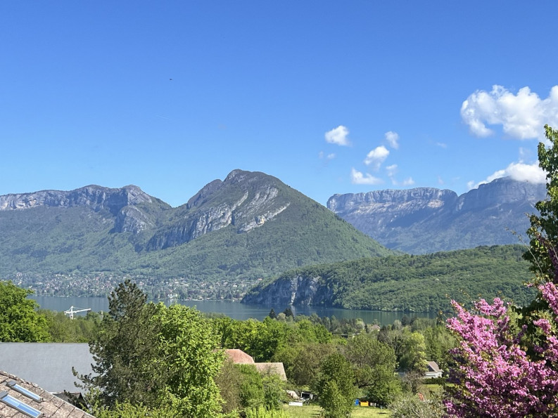 vente Villa Saint Jorioz - Photo 1