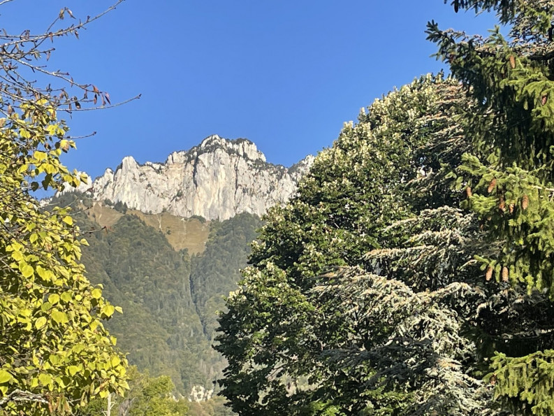 vente Villa d'architecte Menthon Saint Bernard - Photo 6