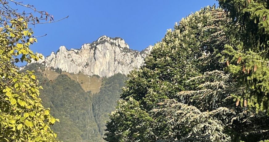 vente Villa d'architecte Menthon Saint Bernard