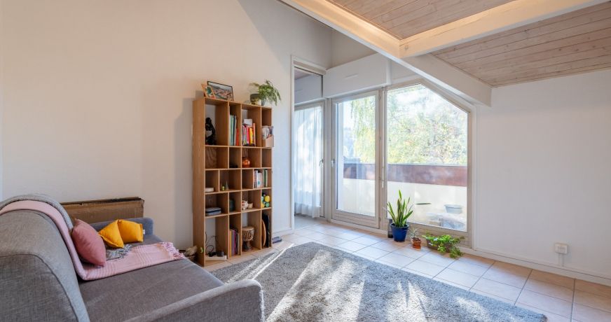 vente Duplex Menthon Saint Bernard