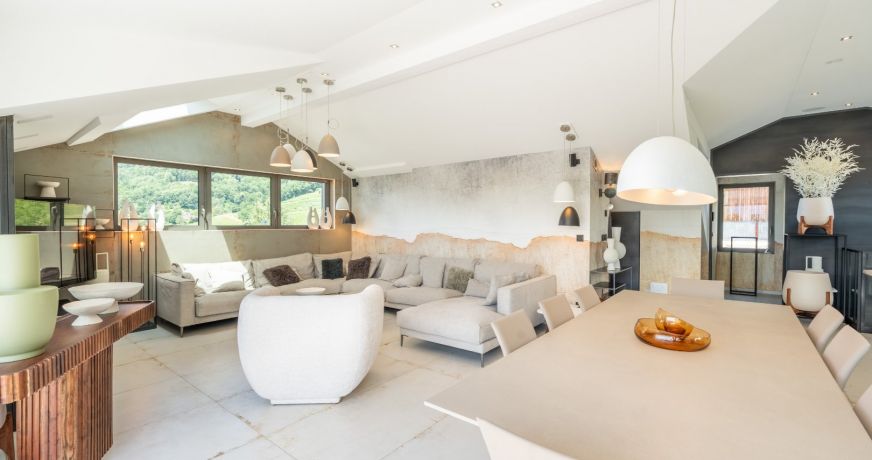 vente Propriété Menthon Saint Bernard