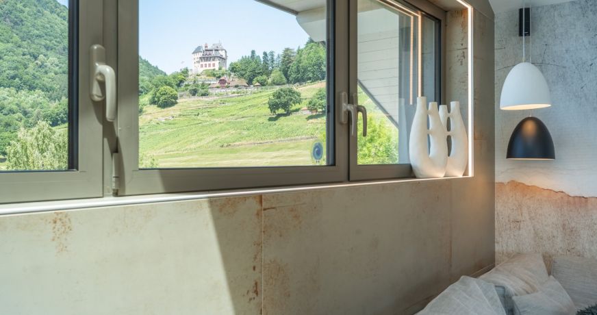 vente Propriété Menthon Saint Bernard