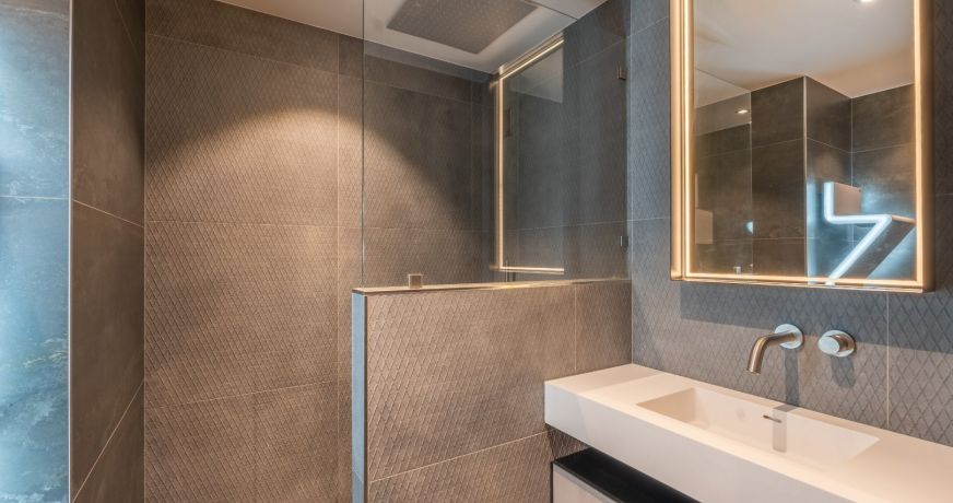 vente Propriété Menthon Saint Bernard