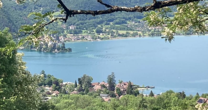 vente Propriété Talloires