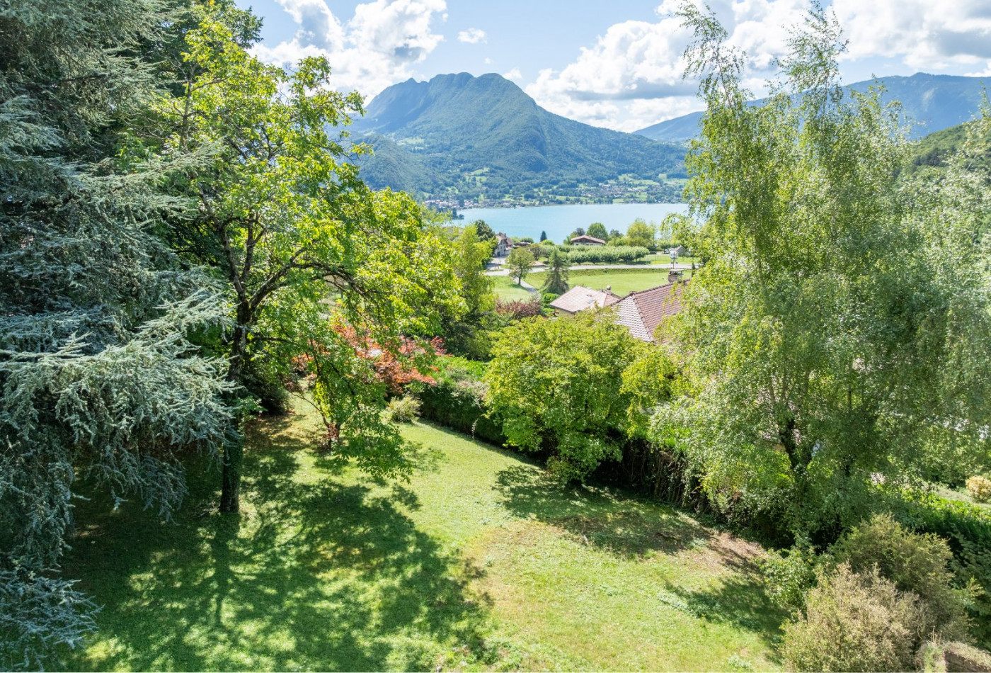 vente Terrain Talloires - Photo 8