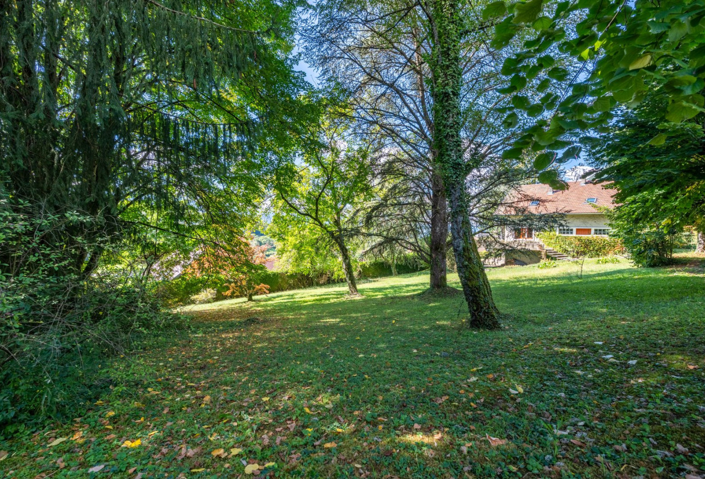 vente Terrain Talloires - Photo 6