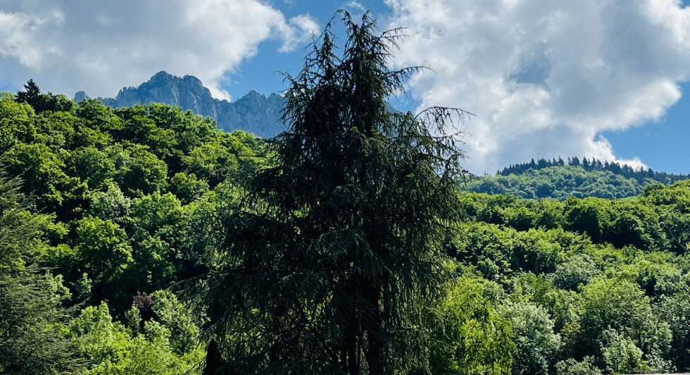 vente Appartement Menthon Saint Bernard - Photo 1