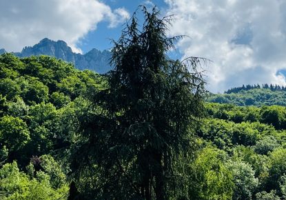 vente Appartement Menthon Saint Bernard