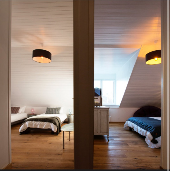 vente Duplex Menthon Saint Bernard - Photo 9