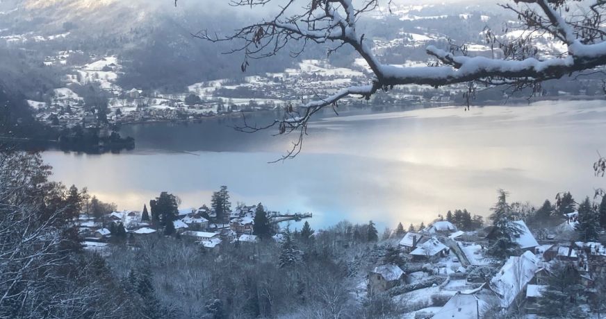 vente Propriété Talloires