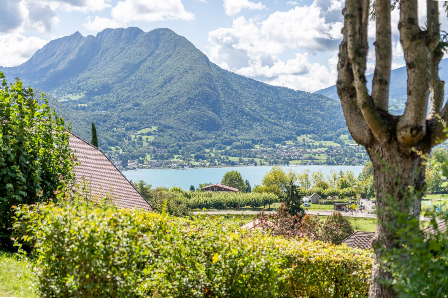 vente Propriété Talloires - Photo 4